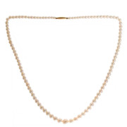 18ct Clasp 99 Natural Akoya Pearls. Click for more information...