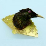 Humming Bird Taxidermied Brooch. Click for more information...